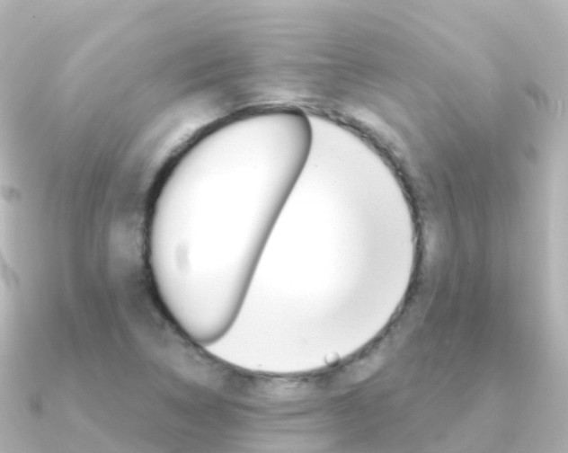 X0000091361314200708101048