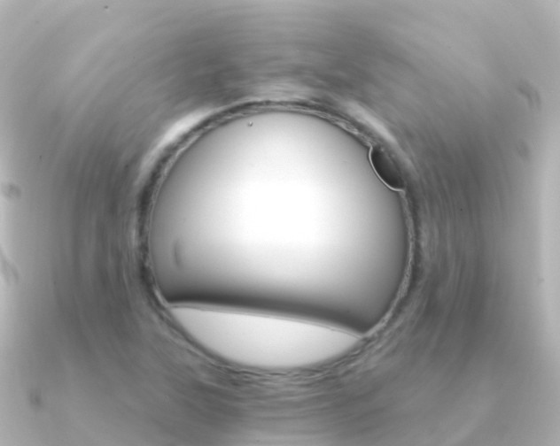 X0000091361315200708101048