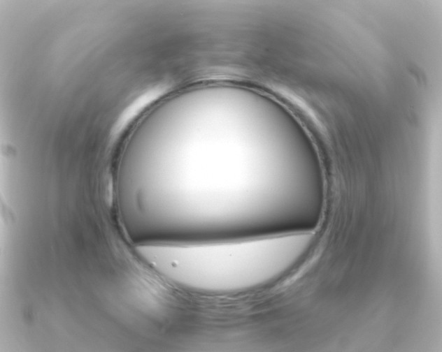 X0000091361317200708101048