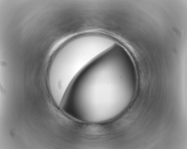X0000091361319200708101048