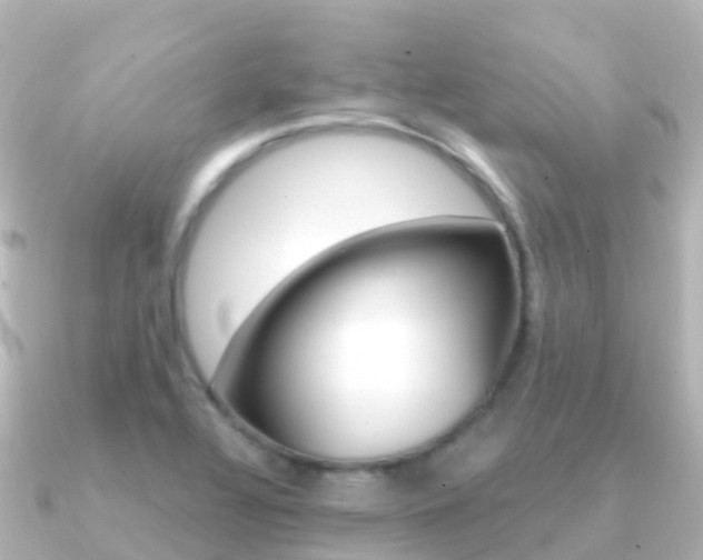 X0000091361320200708101048
