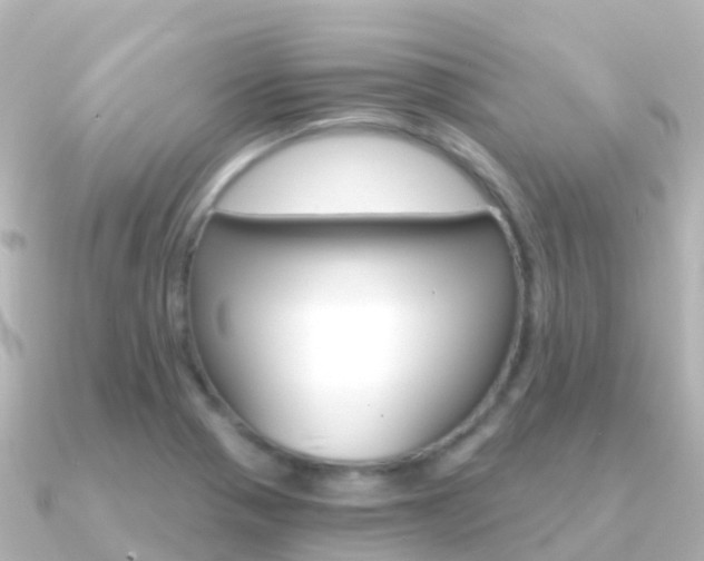 X0000091361321200708101048
