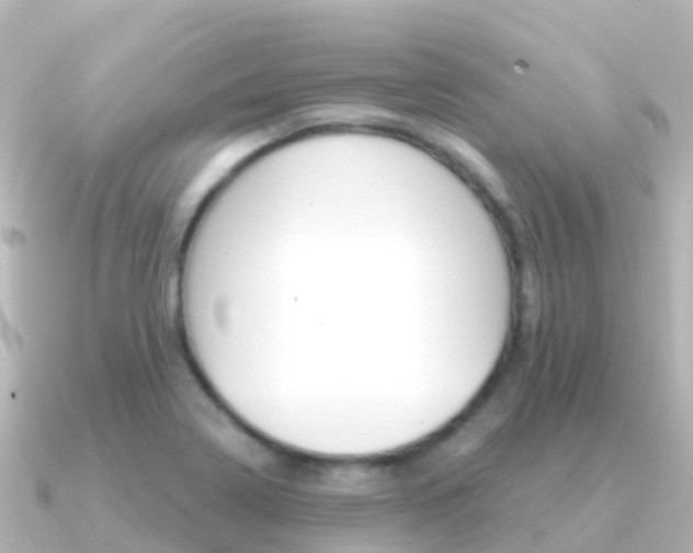 X0000091361322200708101048