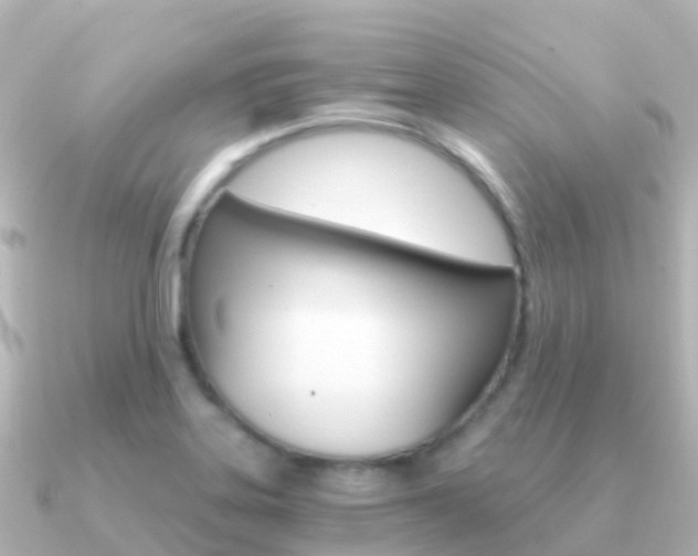 X0000091361323200708101048