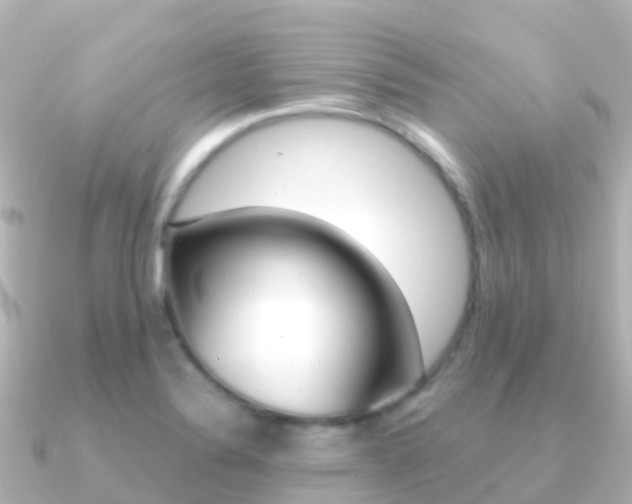 X0000091361324200708101048