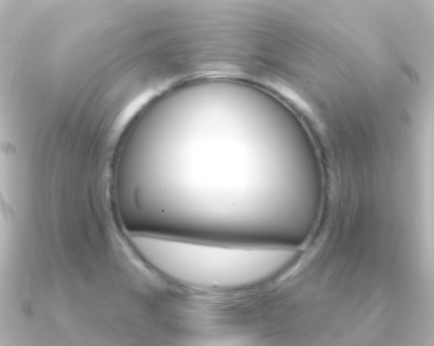 X0000091361325200708101048