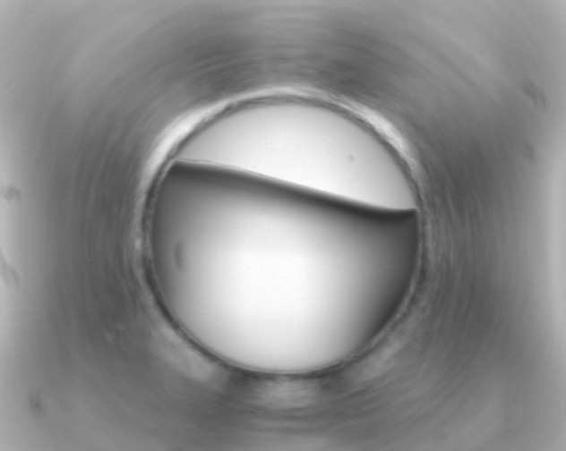 X0000091361327200708101048