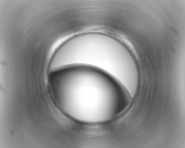 X0000091361328200708101048