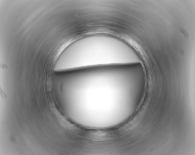 X0000091361329200708101048