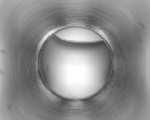 X0000091361331200708101048