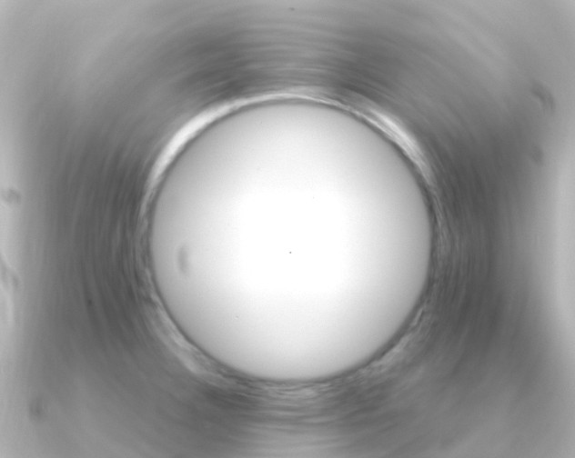 X0000091361332200708101048