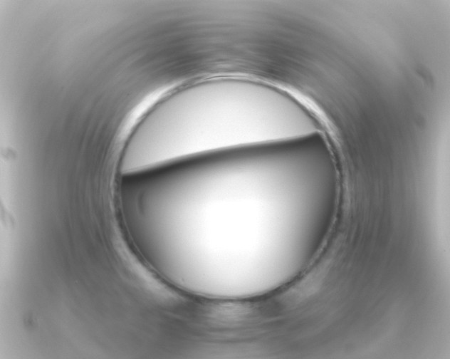 X0000091361333200708101048
