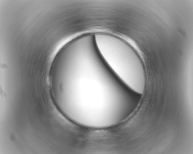X0000091361335200708101048