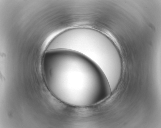 X0000091361336200708101048