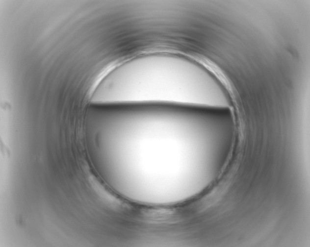 X0000091361337200708101048