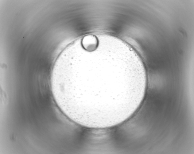 X0000091361338200708101048