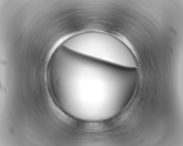 X0000091361339200708101048