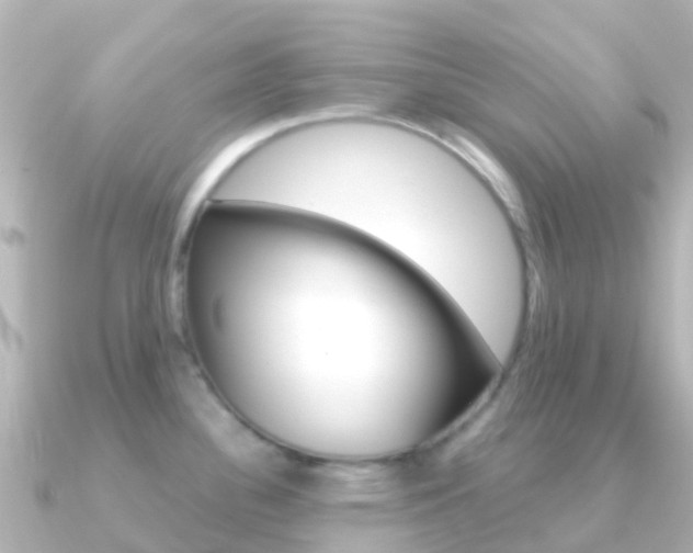X0000091361340200708101048