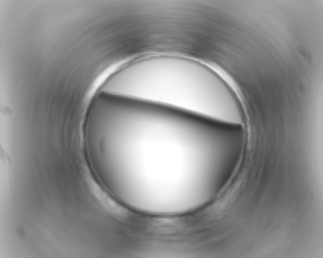 X0000091361341200708101048