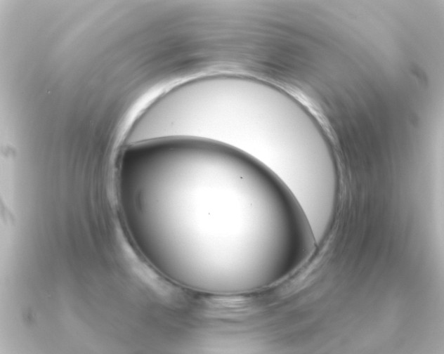 X0000091361342200708101048