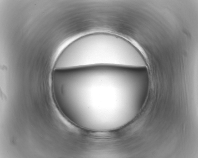 X0000091361343200708101048