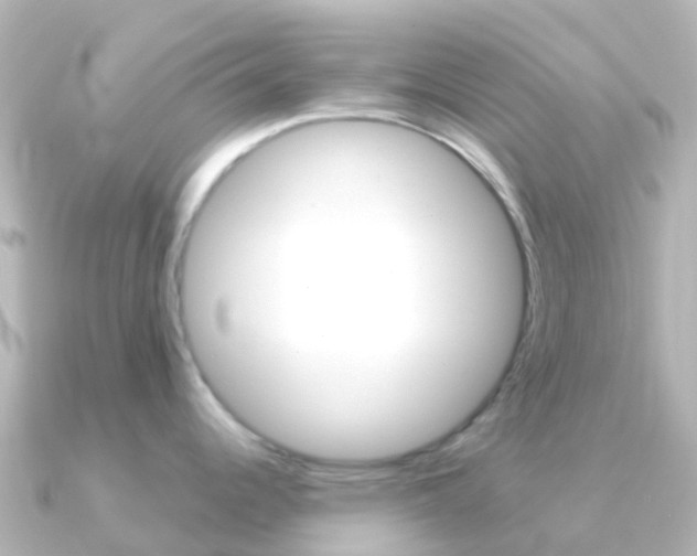 X0000091361344200708101048