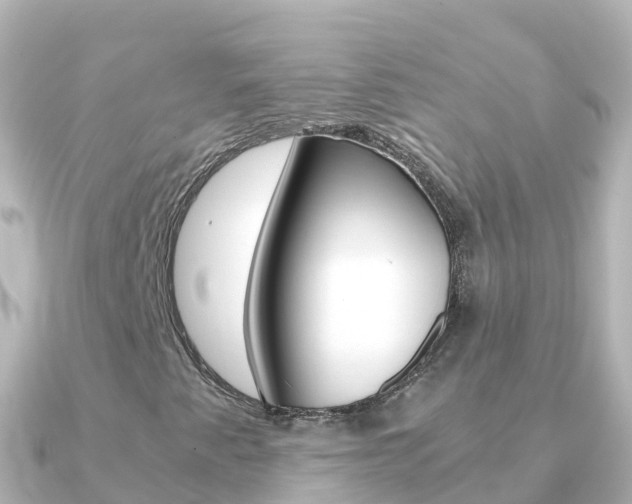 X0000091361345200708101047