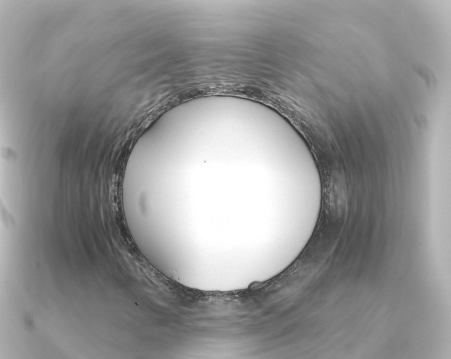 X0000091361346200708101047