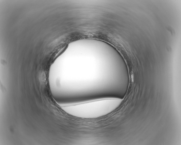 X0000091361347200708101047