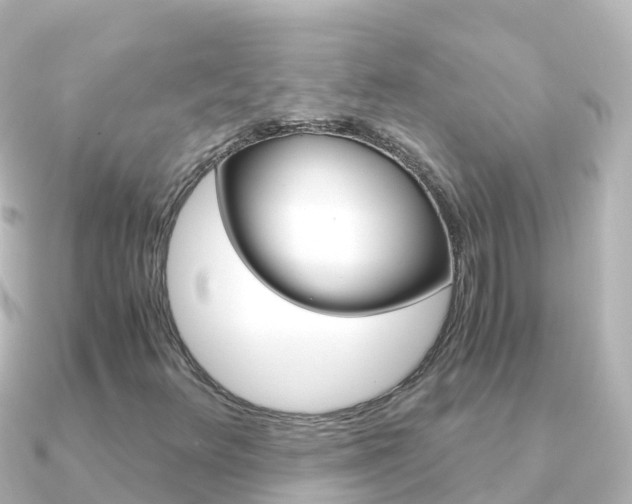 X0000091361348200708101047