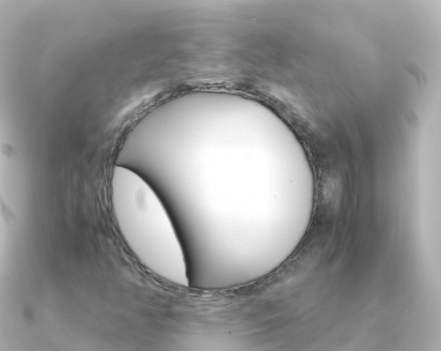 X0000091361350200708101047
