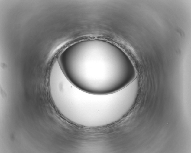 X0000091361352200708101047