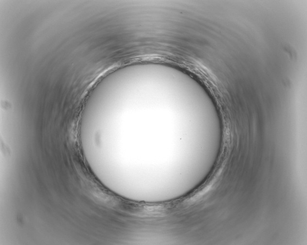 X0000091361353200708101047