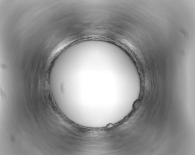 X0000091361354200708101047