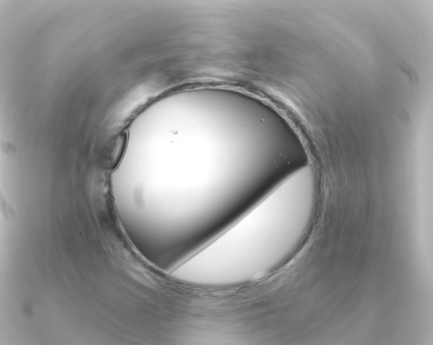 X0000091361355200708101047