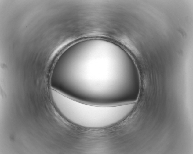 X0000091361356200708101047