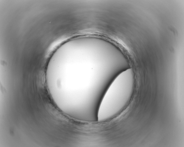 X0000091361358200708101047