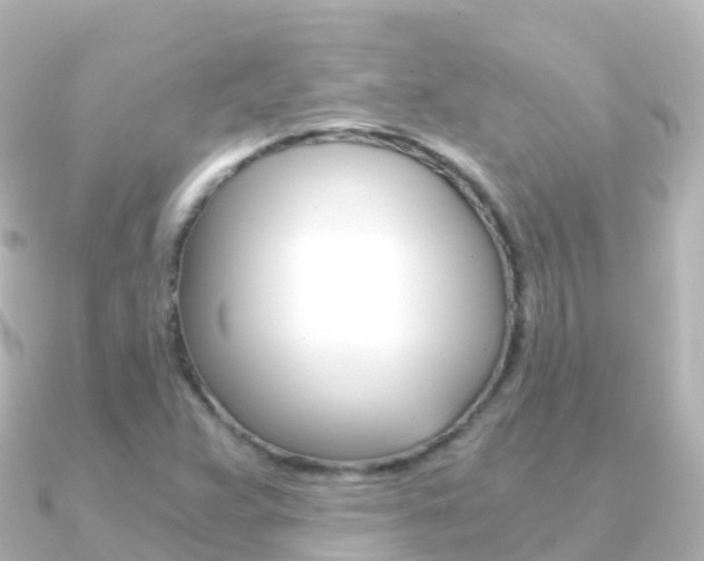 X0000091361359200708101047