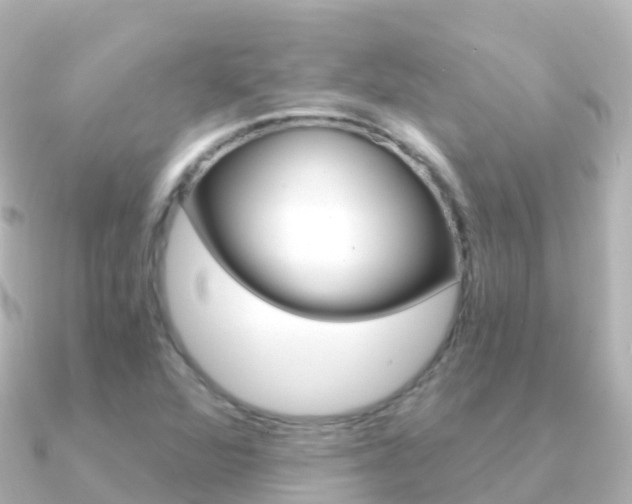 X0000091361360200708101047