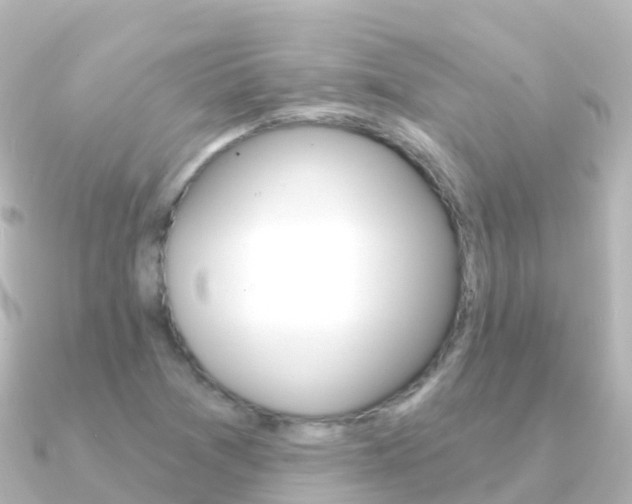 X0000091361361200708101047