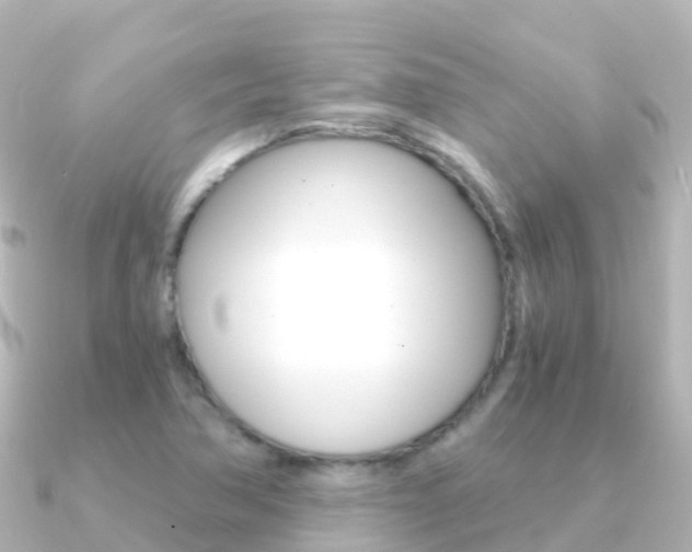 X0000091361362200708101047