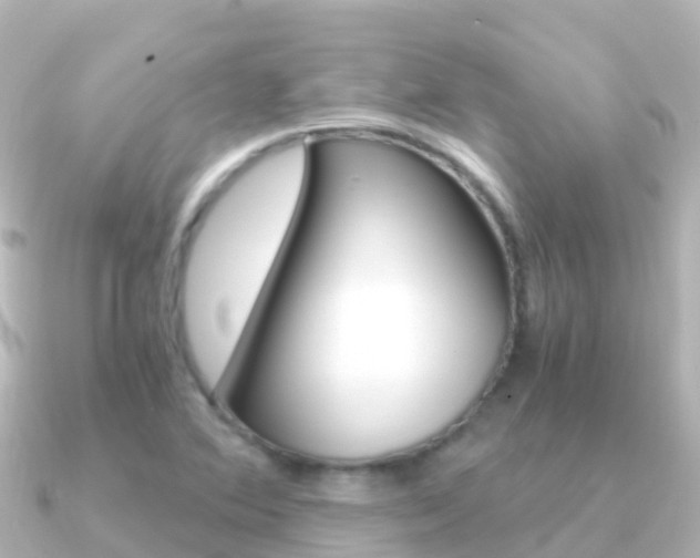 X0000091361364200708101047