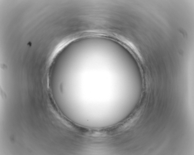 X0000091361365200708101047