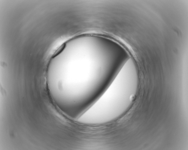 X0000091361367200708101047