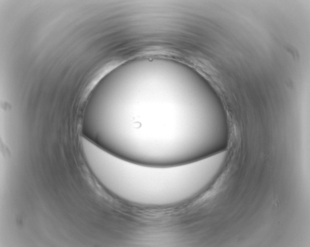 X0000091361369200708101047