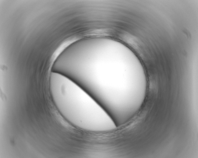 X0000091361370200708101047
