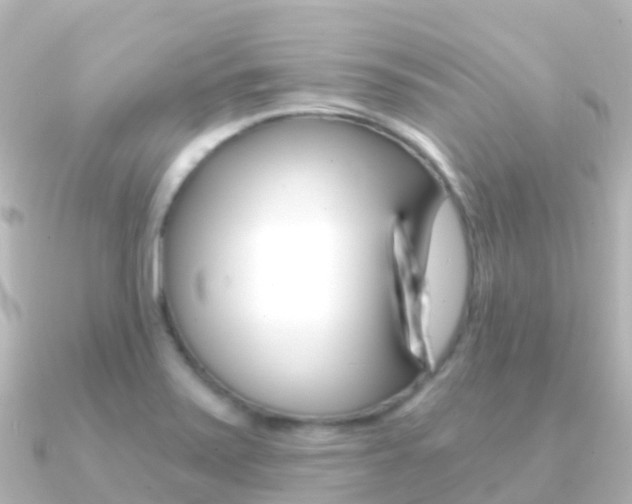 X0000091361371200708101047
