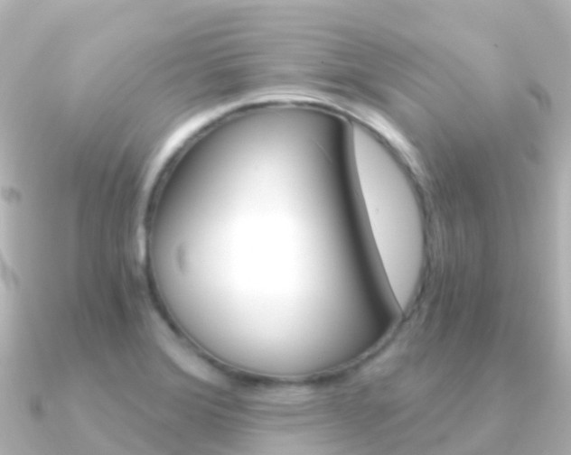 X0000091361372200708101047