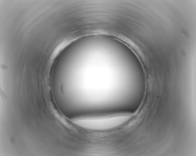 X0000091361373200708101047