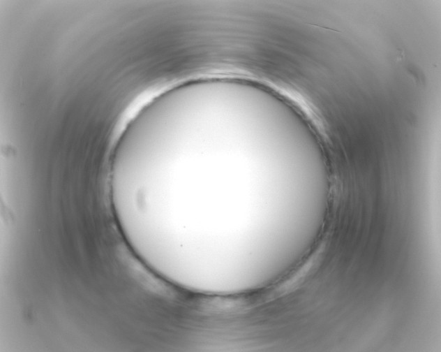 X0000091361374200708101047